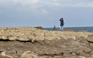 Looking for Black Redstart at Tynemouth, 28th February 2016