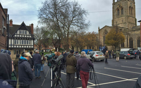 Crag Martin twitch at Chesterfield, 14th November 2014