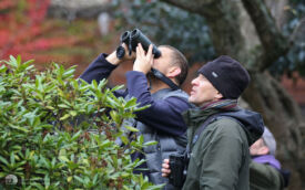 Watching Crag Martin at Chesterfield, 14th November 2014