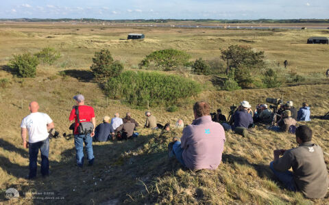 Moltoni's Warbler twitch at Blakeney, 11th May 2015