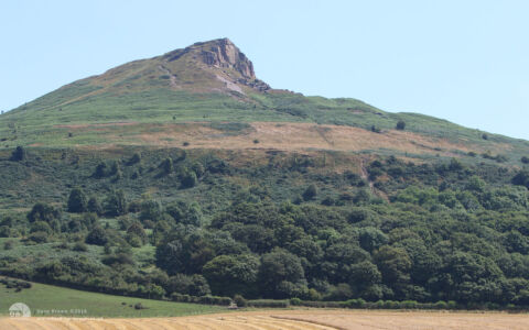 Roseberry Topping at Roseberry, 23rd July 2014